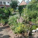 Eetbare tuin
